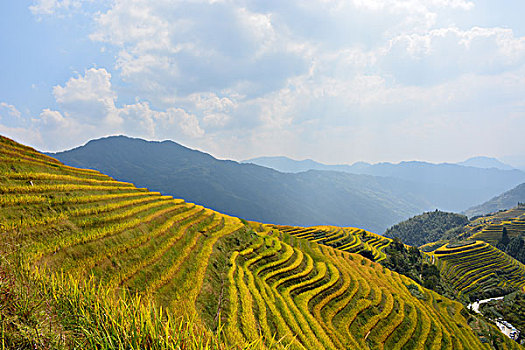 xs da lat